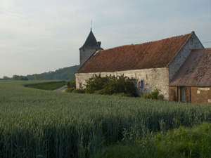 Traitement punaises de lit Vierzon
